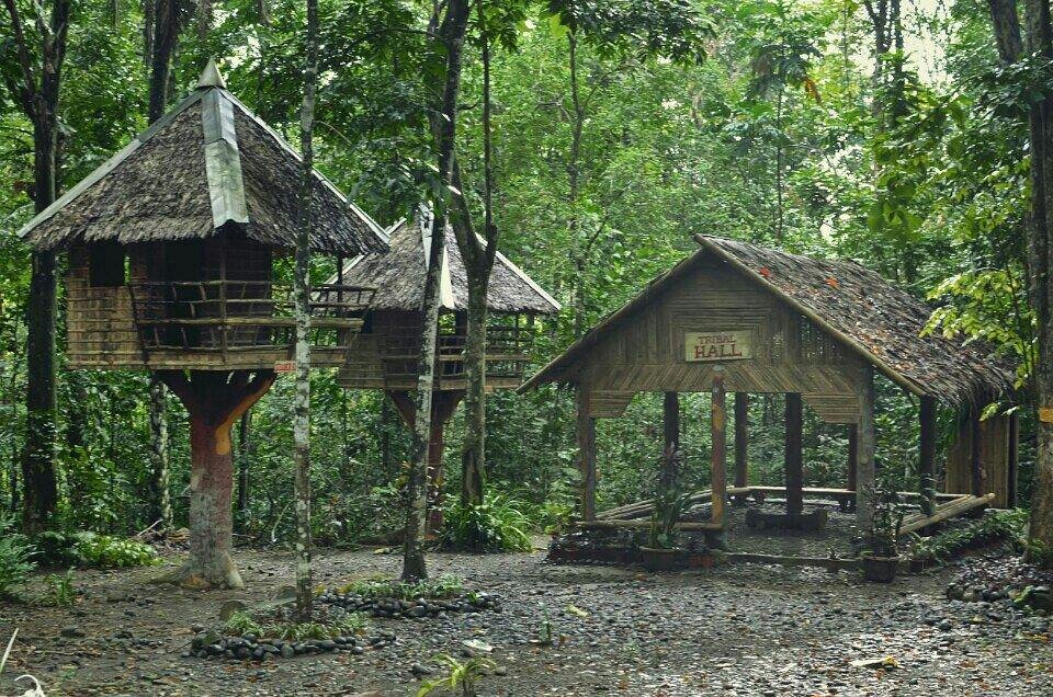 Cogne National Park: Sustainable Guide To Cogne